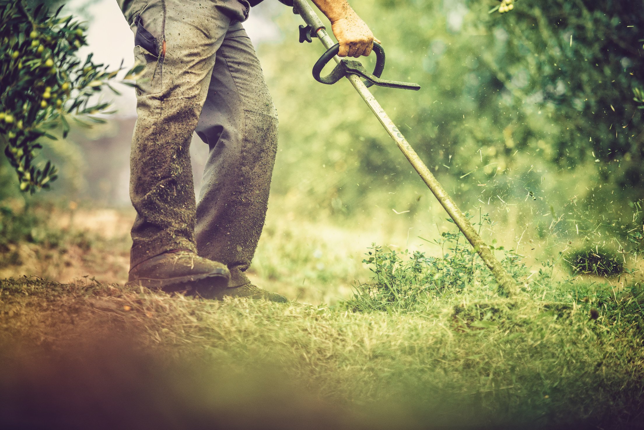 mows the grass